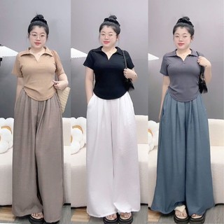 Set Đồ Bigsize Nữ Thanh Lịch Áo Kiểu Polo Cổ Bẻ Vạt Bầu Kèm Quần Đũi Suông Lưng Chun Mềm Mát - SET( G120+Q564)
