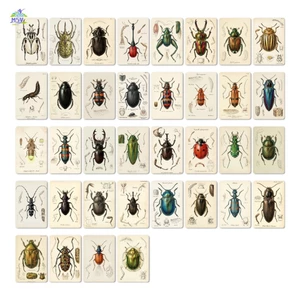 Vintage Beetle Chân Dung Bưu Thiếp Bộ 36 Chiếc Gói Thiệp Chúc Mừng Chất Lượng Cao Cho Những Người Yêu Xe Hơi Và Chủ Đề Retro