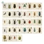 Vintage Beetle Chân Dung Bưu Thiếp Bộ 36 Chiếc Gói Thiệp Chúc Mừng Chất Lượng Cao Cho Những Người Yêu Xe Hơi Và Chủ Đề Retro