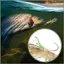 Bass Câu Cá 10 Miếng Phát Sáng Angling Giàn Khoan Dụng Cụ Cá Hồi Móc Câu Cá Cho Mèo Bass Crappie Kayaking kouvn
