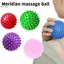 Massage Spiky Ball 7cm 9cm Huấn Luyện Đau Cơ Massage Căng Thẳng Thư Giãn Bấm huyệt Massage Myofascial Balls Dụng Cụ Massage Bóng Yoga