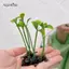 AqToCna 10 Cái Ngộ nghĩnh Cỏ Kẹp Tóc Mầm Đậu Ăng Ten Kẹp Tóc Cho Nữ Cô Gái Dễ Thương Thực Vật Tóc Barrette Phụ Kiện Tóc AqToCna