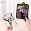 HL Acrylic Khung Ảnh Bình Hoa Thủy Canh Hiện Đại Bình Hoa Để Bàn Giá Đỡ Vật Trang Trí Nhà Quà Tặng Bàn Cưới Trang Trí Trung Tâm LMWU