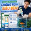 ⚡Keo trám kín dưới nước chống nứt chống rò|Keo dán bể cá chống thấm chống leak siêu bền|Keo silicone chống thấm dán kính
