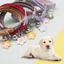 Vòng Cổ Thú Cưng Hoa Trang Trí Chống Mài Mòn Corduroy Puppy Mèo Con Dây Đeo Cổ Vòng Cổ Thú Cưng Chụp Ảnh Chống Đỡ Đồ Dùng Cho Thú Cưng
