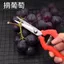 Trái Cây Hiếm Kéo Nho Kéo Cắt Tỉa Kéo Làm Vườn Trái Cây Chọn Kéo Mầm Non Hoa Cam quýt Trái Cây Đào Kẹo Cao Su Kéo
