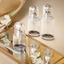 Chai nhựa PET chiết mỹ phẩm dạng nhấn 3 dung tích 60ml/90ml/120ml