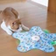 Trò chơi tự động hàng đầu Mô phỏng trò chơi Puss Chất ABS vĩnh viễn và Quills có thể tháo rời cho nhiều ngôi nhà Puss