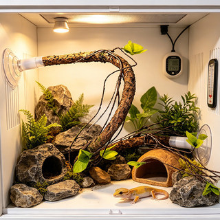 Cốc hút Mô phỏng Vine Cá rô Bò sát Terrarium Trang trí Chi nhánh cho tắc kè Rắn thằn lằn Rùa
