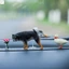 Trang trí xe Shiba Inu - Trang trí nội thất chó con đi tiểu sáng tạo cho ô tô