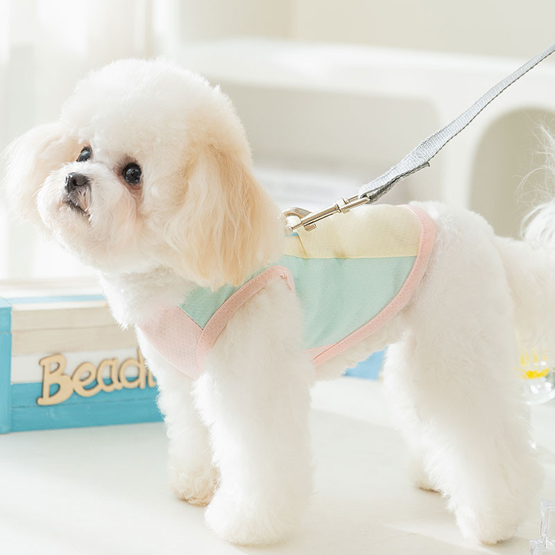 [Pet-Eleven] Áo Vest Quần Áo Thú Cưng Lưới Thoáng Khí Chống Trơn Đi Chơi Lực Kéo Nhẹ Chống Nắng Chống Tia Cực tím Quần Áo Mỏng Quần Áo Chó Mèo Teddy / Bichon / Schnauzer Chó Nhỏ Vừa