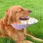 Thú Cưng Dễ Thương Dọc Nước Bọt Khăn Chó Golden Retriever Chó Lớn Alaska Yếm Yếm Dày Nước Bọt Bảo Vệ