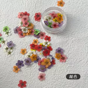 Ooolala Hoa Móng Tay Trang Sức Hoa Nhiều Màu Sắc Phối Ren Hoa Nhỏ Trang Trí Móng Tay Có Thể Đeo Được Chất Liệu Móng Tay Gói Cung Cấp