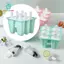 Khuôn Silicon Popsicle BPA Free Có Thể Tái Sử Dụng Ice Pop Maker DIY Frozen Món Tráng Miệng Khuôn Cho Gia Đình Trẻ Em Mùa Hè