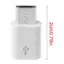 Btsg 1 Mini USB 3 1 C Nữ Sang USB Nam Adapter Loại C Sang Micro USB Chuyển Đổi