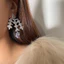 Thời Trang Hàn Quốc Zircon Sang Trọng Tua Rua Phong Cách Mới Tính Khí Bông Tai Bán Buôn