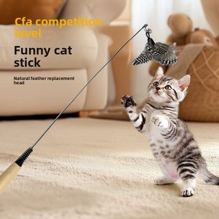 Đồ chơi mèo CFA Sai Lớp Cat Tease Stick Spot Feather Đầu thay thế