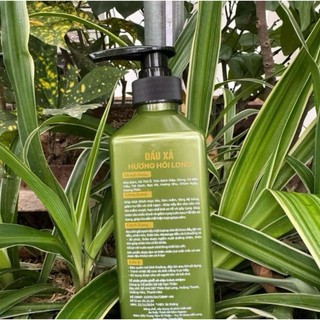 Dầu Ủ Xả Thảo Dược OCOP Hương Hồi Long 500ml/chai - Tóc Bồng Bềnh, Hỗ Trợ Giảm Gãy Rụng