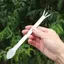 1Pc Cây cảnh rễ bằng thép không gỉ mới Cây cảnh trồng cây trong chậu Dụng cụ đất lỏng lẻo 3 cánh cầm tay Dụng cụ làm vườn tại nhà chống rỉ sét [VN]