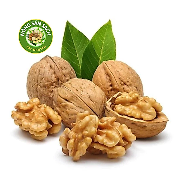 Quả óc chó nhân vàng nhập khẩu Mỹ, hạt óc chó vàng QUẢ VÀNG 500g