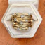 Phụ kiện nhẫn đa năng phiên bản vàng thời trang dành cho nữ Nhẫn tổ chim Zircon đầy sao