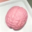 QEARY Brain Squishy Toy, Đồ chơi Fidget có thể đúc được mô phỏng, Bóng căng thẳng TPR tăng chậm Đồ chơi Prank Gag