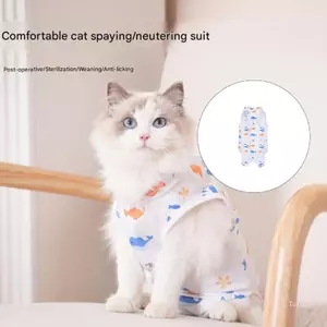 Tã vệ sinh kinh nguyệt hàng đầu Nam Bảo vệ tã Thảm tái sử dụng Quần đi tiểu cho chó