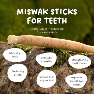 Bàn chải Miswak JKDESIGN mềm, thân thiện môi trường, không cần kem, que truyền thống dùng khi du lịch