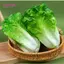 YOFFOR Mô Phỏng Rau Vật Trang Trí, Nông