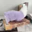 Xe Điện Điều Khiển Giọng Nói Điện Sang Trọng Đuôi Xe Phía Sau Trang Trí Dễ Thương Gradient Cô Gái Dễ Thương Sang Trọng Đuôi SLBU