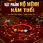 🔥【Lễ tấn phong bậc thầy】Dây ngọc thiêng tay đan thủ công |Dây đỏ đôi bản mệnh Kim Mộc Thủy Hỏa Thổ |dây tay phong thủy