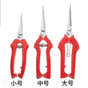 Trái Cây Hiếm Kéo Nho Kéo Cắt Tỉa Kéo Làm Vườn Trái Cây Chọn Kéo Mầm Non Hoa Cam quýt Trái Cây Đào Kẹo Cao Su Kéo