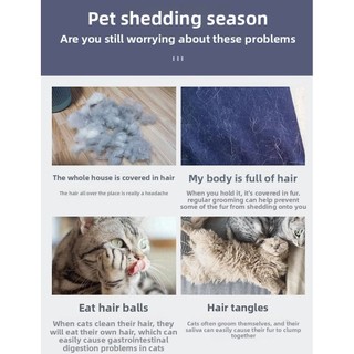 Lược tẩy lông thú cưng bằng một cú nhấp chuột