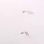 Trong Kho 1PC Máy Trợ Thính Clip Kẹp Rope Chủ Bảo Vệ Rơi Mất Trường Hợp Lưu Trữ Hộp Cá Tuyết