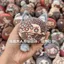 Identity V Sang Trọng Móc Khóa Nhà Báo Bida Cầu Thủ Tiểu Thuyết Hiệp Sĩ Naiad Dango Sang Trọng Mặt Dây Chuyền Túi Quyến Rũ Quà Tặng