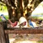 Metal Bird Silhouette 2D Flat Yard Sign Garden Stakes Tree Art Trang trí ngoài trời cho sân sau (Không phải tượng)