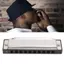 Guansfs Asixxsix Kèn Harmonica Diatonic Phím D 10 Lỗ 20 Âm Đàn Hạc Miệng Đàn Organ Di Động Và Nhạc Blues Có Ốp Lưng Dành Cho Trẻ Em người Mới Bắt Đầu Học Sinh Quà Tặng