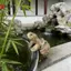 Động Vật Rùa Nhựa Treo Chậu Cho Sân Vườn Ban Công Sân Nhà Hộp Đựng Thực Vật Trang Trí VN
