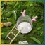 BVY Hamster Phòng Tắm Vệ Sinh 2 Trong 1 Gạc Trong Suốt Thiết Kế Bồn Tắm Phòng Lớn Để Vệ Sinh Thú Cưng Chải Lông Và Chơi.