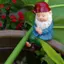 Tượng Gnome Câu Cá Trang Trí Ngoài Trời Tượng Gnome Để Trang Trí Sân Vườn Ngoài Trời Điêu Khắc Nhựa Chống Rỉ Sét Cho Thác Nước Sân Cho Nữ VN