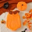 Bộ trang phục Halloween cho bé gái Bí ngô / Nhện / Dơi thêu hoa sọc + Mũ