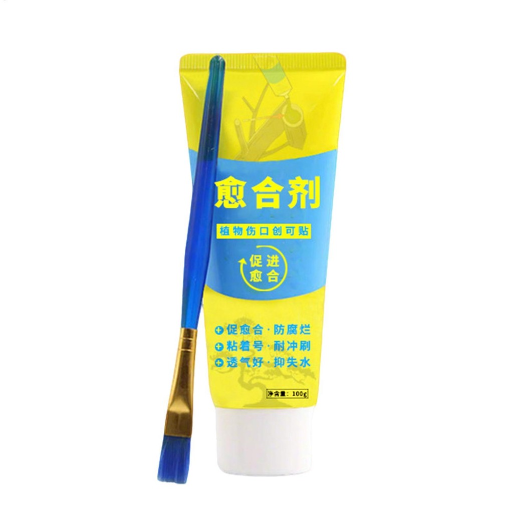 Tree Pruning Sealer Bonsai Tree Pruning Sealer Agent 100g Weatherproof Paste with Brush Trunk Dressing greiwe2vn