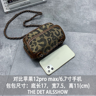 Mini Canvas Kết Cấu Cao Cấp Túi Nữ Bán Chạy 2025 Phong Cách Mới Mùa Hè Thời Trang Pháp Niche Đeo Vai Túi