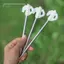 2 / 4 / 6 Cái Chiều dài 20cm Lều phát sáng Chốt đèn ban đêm Lều phát sáng ban đêm Cọc chốt Phụ kiện lều mới