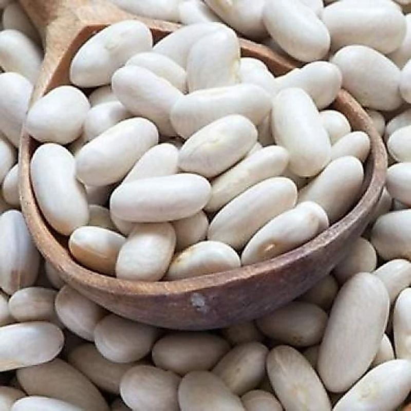 Đậu trắng hạt to nguyên hạt bở bùi