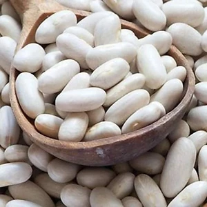 Đậu trắng hạt to nguyên hạt bở bùi