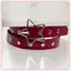 JRP Pentagram Mắt Đinh Tán Đai Goth Phong Cách Đôi Pin Bule Nam / Nữ Thời Trang Phong Cách Punk Pu Da Dây Thắt Lưng Cho Quần Jean Y2KBelt JRP