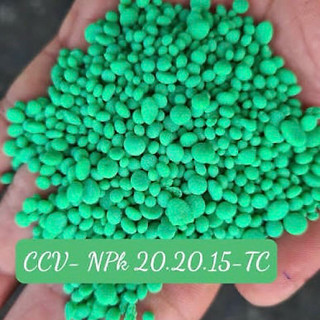 (1kg) Phân Bón NPK 20-20-15 tháp cao Xanh Lá Tan Nhanh Cho Rau Màu, Hoa Cây Cảnh Đâm Chồi, Xanh Lá, Tạo Hoa, Nuôi Trái