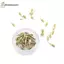 Cheenm 10 / 50 Chiếc Bộ Công Cụ Loại Bỏ Liên Kết Đồng Hồ Dây Chuyền Dụng Cụ Liên Kết Pin Tẩy Để Điều Chỉnh Dây Đeo Đồng Hồ Và Sửa Chữa Đồng Hồ VN