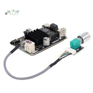 XY-1001W TPA3116 100W Mono Bluetootooth Bảng Khuếch Đại Âm Thanh Công Suất Cao Mô Đun Khuếch Đại Công Suất Âm Thanh 1001W-A